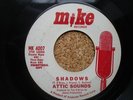 *RARE GARAGE* Mike 4007 WLP   Attic Sounds   Shadows - Let Us Be Young  **HEAR**