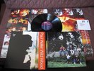 Paul Weller Wild Wood UK Vinyl LP with Poster The Jam Style Council MOD