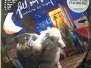 FALL OUT BOY Infinity On High LP VINYL RECORD PICTURE DISC UNPLAYED