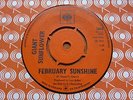 Giant Sunflower - February Sunshine 1967 UK 45 HEAR IT 