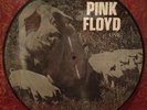 33T Rare Picture-Disc Pink Floyd 