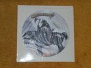 Molly Hatchet PICTURE DISC LP MOLLY HATCHET (1st) Promo 1978 M- cover/VG+ record