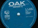 DANNY STORM & STROLLERS*SAY YOU DO*OAK ACETATE*HEAR IT