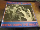 YOUTH OF TODAY BREAK DOWN THE WALLS LP WISHING WELL USA PUNK HARDCORE
