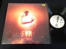 FYA Dezarie   RARE 2004 conscious REGGAE roots LP on I GRADE LABEL