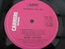 Rose Tattoo SCARRED FOR LIFE UK LP 1ST PRESS CARRERE UNPLAYED & 100% MINT 