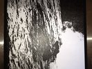 Suburbanite #4/25 TEST PRESS ( Hoax Youth Attack Vile Gash Raw Nerve Cult Ritual