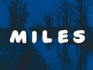 New Miles Davis Quintet 180 gram Analogue Productions LP NM Prestige