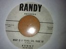 Beach boys - Kenny & the cadets - Randy records  
