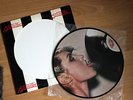 Blondie - Parallel Lines Picture Disc LP Vinyl Album Chrysalis 12