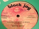 Wayne Smith Life Is A Moment In Space Killer Roots 12
