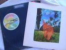 PINK FLOYD WISH YOU WERE HERE COLUMBIA CBSPCQ 33453 Vinyl LP QUADRAPHONIC