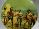 The Turtles Picture Vinyl Record [ No Cover]