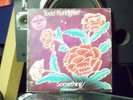 TODD RUNDGREN Something/Anything?  RED/BLUE VINYL PROMO LP AUTOGRAPHED