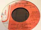 Anthony Johnson Nice Up The Dance Killer Digi 7