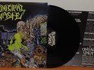 MUNICIPAL WASTE CRUCIAL UNIT LP thrash/toxic holocaust/ghoul/slayer/metal/vinyl
