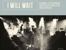 MUMFORD AND SONS - I WILL WAIT - 7 INCH LIMITED RARE OOP NUMBERED