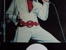 Elvis Presley- I Got Lucky LP-Testpressung-Musterplatte White Label-Germany-1971