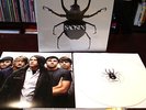 SAOSIN - SAOSIN White Colored Vinyl LP Numbered #2 /250 SRC Sub Self Titled S/T