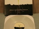 Balance and Composure Tigers Jaw Clear Vinyl LP title fight ep