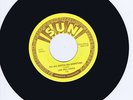 JOE HILL LOUIS - WE ALL GOTTA GO SOMETIME - (SUN ROCKIN' BLUES) RARE 1970s REPRO
