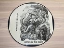 STORMTROOPER PICTURE LP - ARMIES OF THE NIGHT / PRIVATE US METAL IN VG - TOP RAR