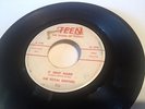 Royal Drifters * S' Why Hard * Hawaii Rockabilly * TEEN 506 * 1959 * VG+