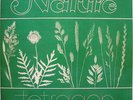 Tetragon / Nature (AS LP 007) Rare