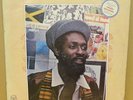 MIKEY DREAD - EVOLUTIONARY SOUNDS - OG JA DREAD LP MINT