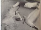 Donald Byrd - Free Form Original Blue Note 4118 MONO NY USA RVG w/ Wayne Shorter