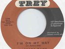 NORTHERN SOUL - BARBARA DANE on TREY - 