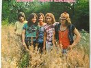 RAW MATERIAL - Same  - GREAT UK PROG 1st LP SUPER-RARE German ORIG 1971 on VOGUE