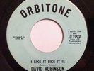 DAVID ROBINSON I Like It Like It Is EDDIE BO Funk DEEP Soul VG+(+) 45