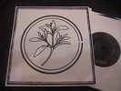 COLD CAVE-Confetti / Believe in my Blood 7