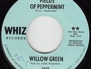 WILLOW GREEN - Whiz 619 - Fields of Peppermint / instrumental - 1970 ROCK 45 VG+