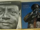 Bukka White - Parchman Farm, Memphis Hot Shots 2 LPs