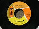 Love's Gone Bad  - The Underdogs - Rare Garage / Psych 1966 VIP Records / Ex