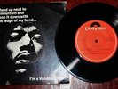 Jimi Hendrix experience  Vinyl 7 '' Picture sleve