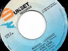 '87 SUNSET KILLER DIGI REGGAE 45 KING KONG MUSICAL TERRORIST ?