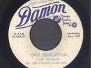 Rockabilly 45:  Jerry Sherbahn & Ramblers  Guitar Boogie Shuffle / DAMON ACETATE