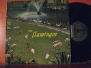 FLAMINGOS - CHECKER 1433 doo-wop r&b LP mono DG black label *NM*