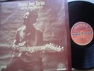 HOUND DOG TAYLOR   