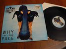 Big Country - Why the long face  RARE  Ltd Vinyl LP  - 1988 / 3000  Superb