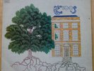 Trees – The Garden Of Jane Delawney UK LP CBS S63837 First Pressing