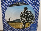 PINK FLOYD DELICATE SOUND OF THUNDER PICTURE DISC LP / RECORD BRAZIL PROMO