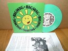 Bigwig fueled by ramen records 7