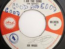 JOE HIGGS - I AM THE SONG / WORRY NO MORE (ISLAND)