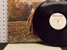 THE ALLMAN BROTHERS BAND Brothers and Sisters (1973) Vinyl LP VG++ (EX)