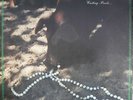 MILL VALLEY BUNCH CASTING PEARLS VERVE V6-8825 ELECTRIC FLAG MIKE BLOOMFIELD LP