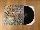 Circle Takes the Square - As the Roots Undo (Vinyl LP - Black) Pg. 99, Orchid
